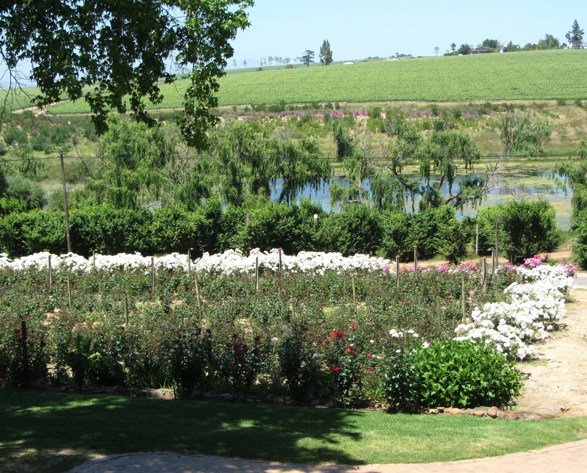 Villa Aan-Den-Weg Stellenbosch Exterior foto